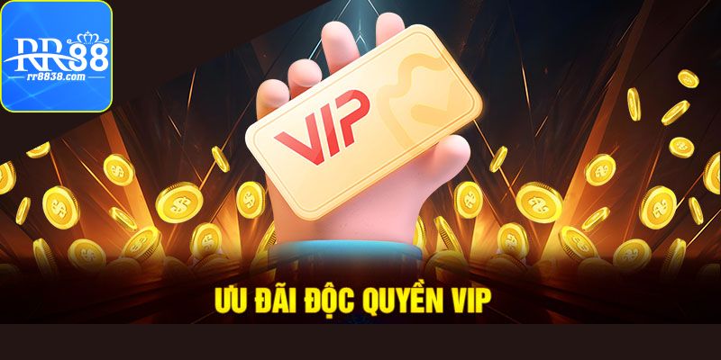 Điểm qua một số lợi ích từ độc quyền VIP